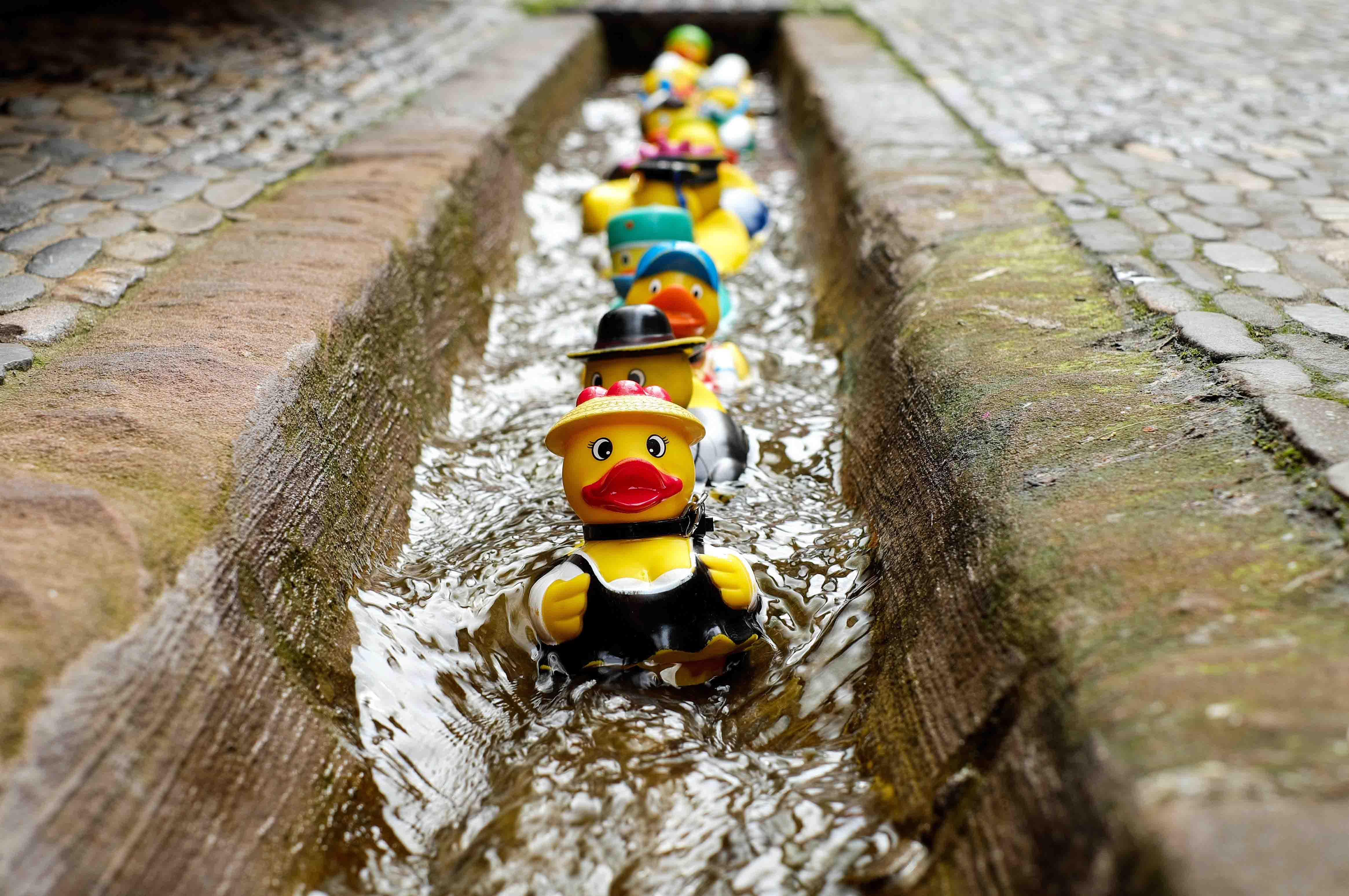 bath-ducks-blur-colorful-106144.jpg